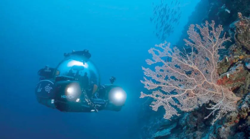 Claudia Jung Tür An Tür Okyanuslarda 100 bin yeni canlı türü arayışı