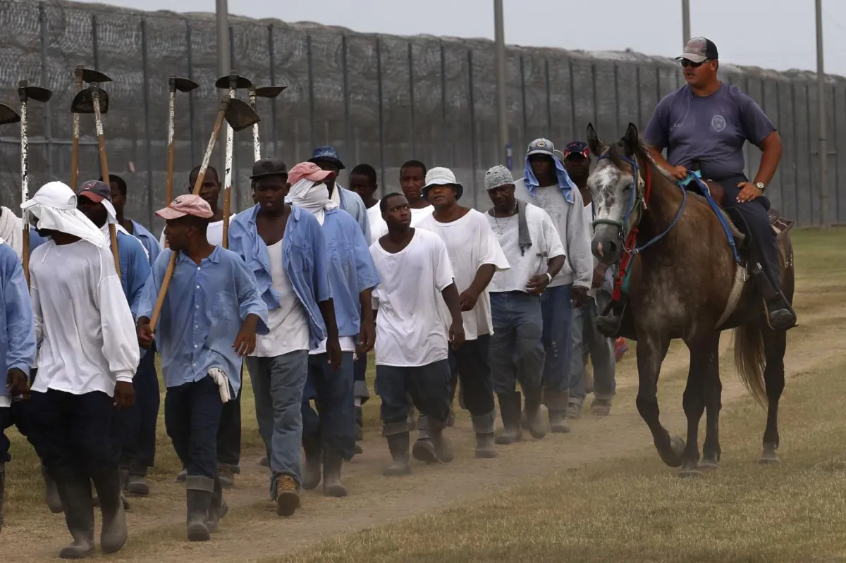 McDonald's'tan Coca-Cola'ya gıda devlerinin hapishane işçiliğiyle ...
