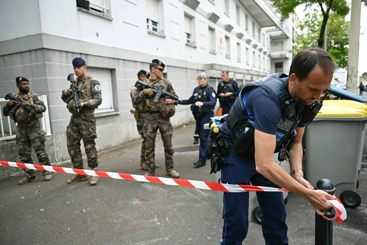 Nyupptäckt larv "ben samlare" överraskar forskare