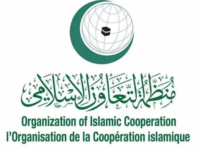 OIC Condemns Israeli Aggression on Syrian Territories