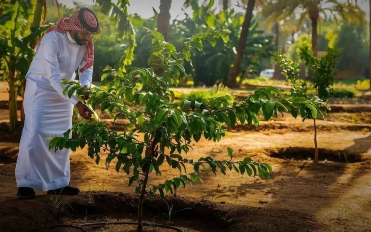 World Bank Urges Region’s States to Turn Climate, Tech Challenges into Opportunities