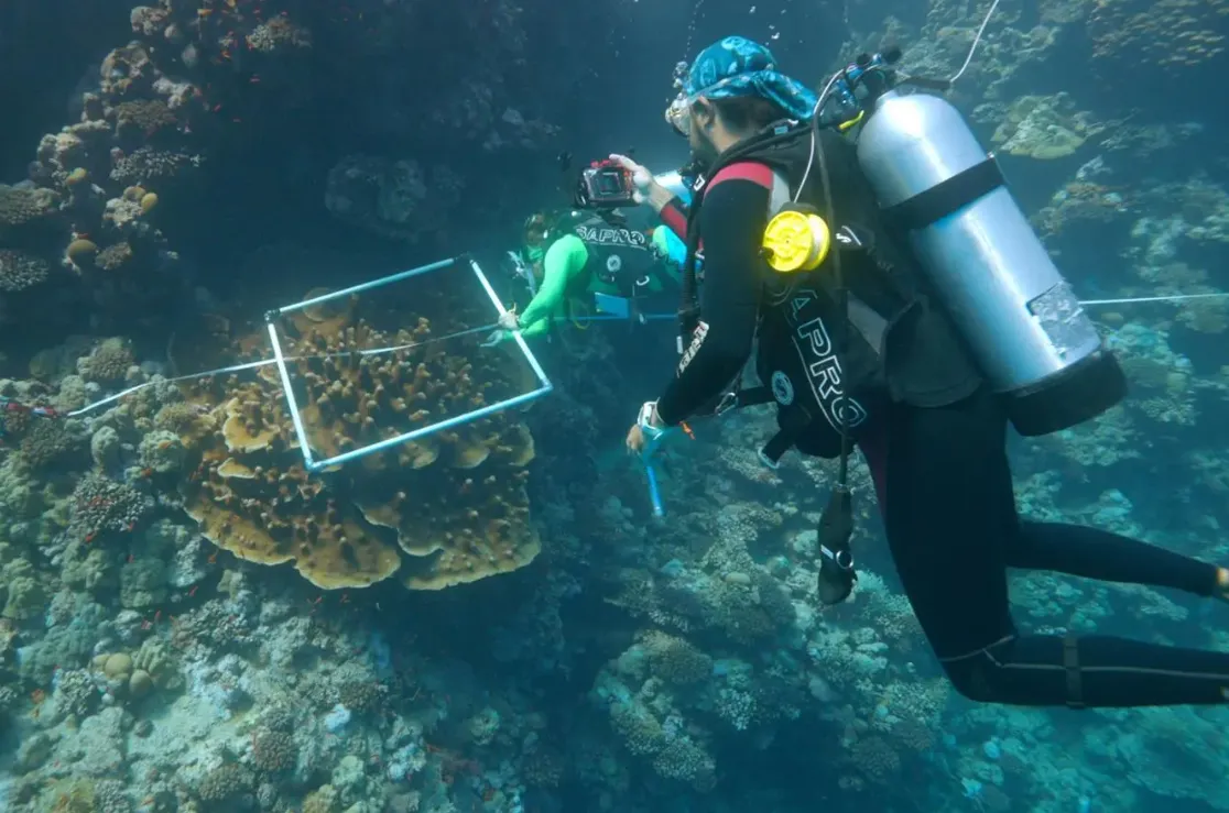 Wildlife Center Announces Genetic Study Revealing Unprecedented Biodiversity in Red Sea