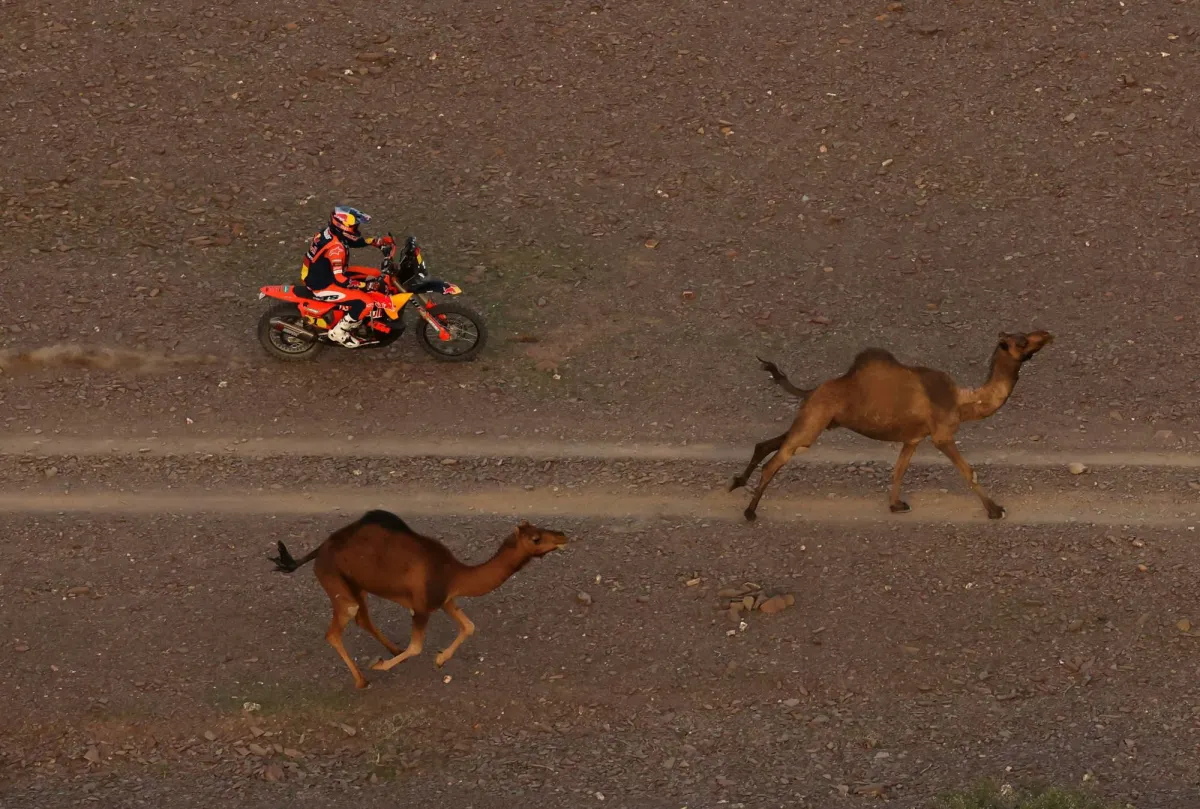 رالي داكار | نجح الجنوب أفريقي هينك لاتيغان، سائق فريق «تويوتا غازو»، في حصد المركز الأول لمرحلة اليوم في فئة السيارات، بعد وصوله في 4 ساعات و47 دقيقة و8 ثوانٍ، بفارق 7 دقائق و3 ثوانٍ عن القطري ناصر العطية سائق «داسيا ساندرايدرز»، 