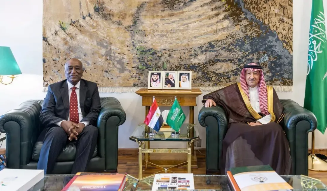 Vice Foreign Minister, Egyptian Deputy Foreign Minister for African Affairs Hold Talks