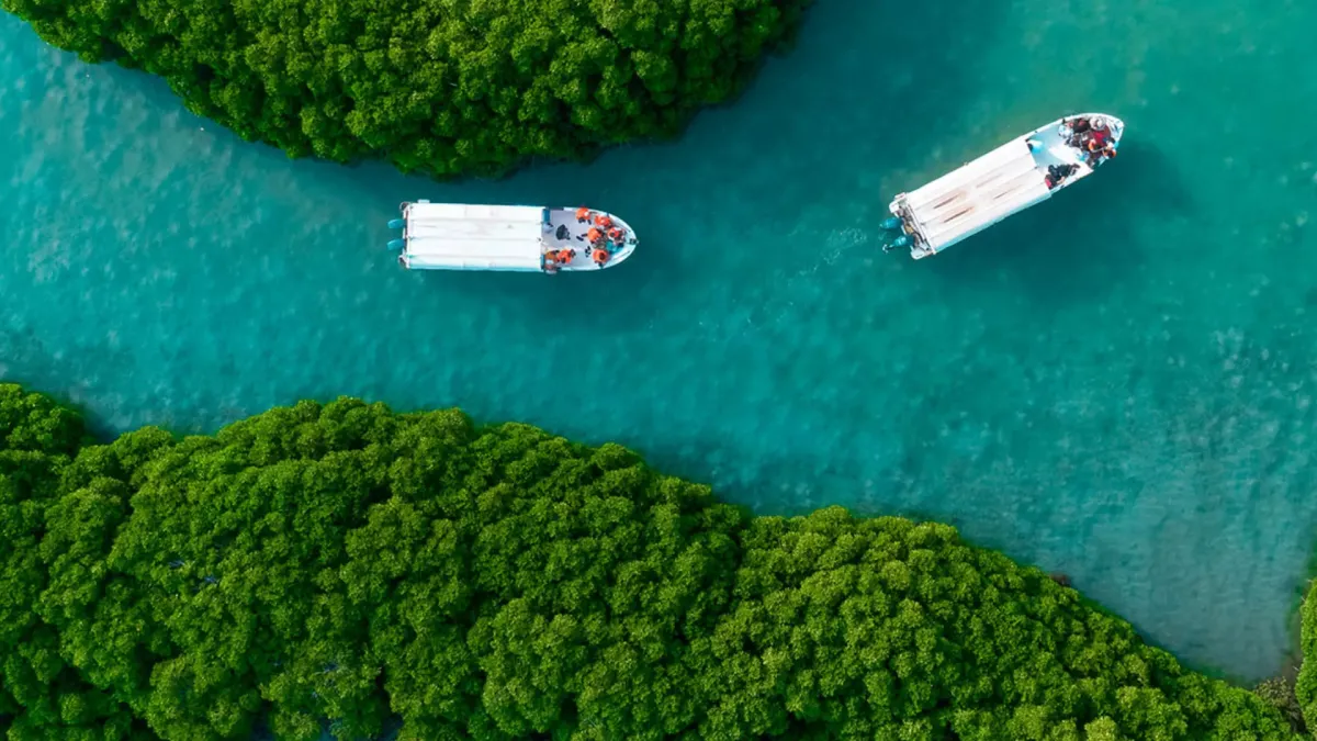 السياحة السعودية: نهضة اقتصادية مذهلة تقودها «رؤية 2030» من العراقة إلى الريادة