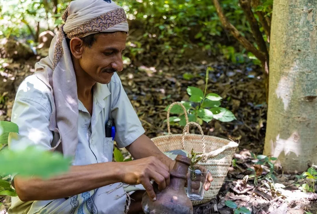 UN Project Supports Thousands of Coffee Farmers in Yemen's Taiz