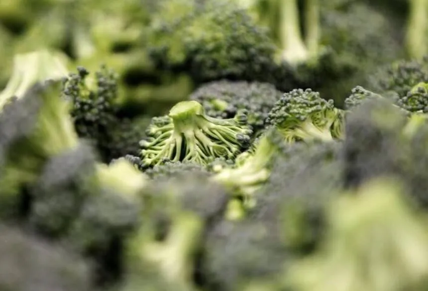 9 أطعمة لتعزيز صحة الدماغ والحد من خطر الخرف