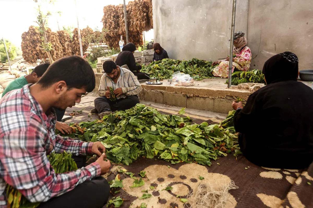 State Return to South Lebanon Extends Beyond Security to Services, Recovery