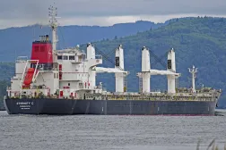 The Liberian-flagged bulk carrier Eternity C is seen near Cathlamet, Oregon, July 23, 2019. (Mike Cullom via AP)