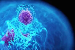 Kanser kendini virüs olarak gizler ama bağışıklık sistemi onu tespit edebilir