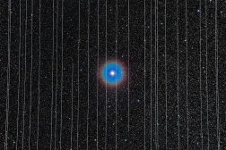 26 Aralık 2019'da çekilen Cygnus'taki çift yıldız Albireo. 2,5 dakikalık pozlamalarda, alanda hareket eden Starlink uyduları da kaydedildi (Rafael Schmall/Wikimedia Commons)