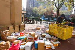 A courier sorts packages for delivery on Singles Day or '11.11' Global Shopping Festival, in Beijing, China, 11 November 2025. (EPA)