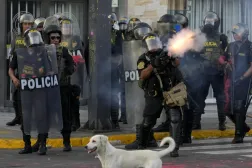 The health manager of the Arequipa region said the bus hit a pickup truck and it went off a road on a curve, falling more than 200 meters (more than 650 feet) to the banks of the Ocoña river - (File photo of Peru police/The AP)