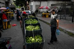  A man pushes a hand truck loaded with plantains through La Candelaria neighborhood in Caracas on November 13, 2025. (AFP) 