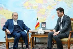 Velayati, Ermenistan Büyükelçisi Grigor Hakopyan ile görüştü, (IRNA)