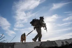 جندي إسرائيلي ومعه أحد الكلاب المدرَّبة خلف الخط الأصفر بقطاع غزة (الجيش الإسرائيلي)