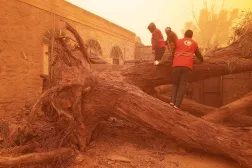 متطوعو «الهلال الأحمر» الليبي يجلون عائلة بعد تساقط الأشجار على منزلها (الهلال الأحمر)