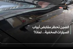 الصين تحظر مقابض أبواب السيارات المخفية... لماذا؟