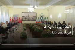 قمة إثيوبية - تركية في أديس أبابا