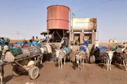 Water sellers gather with donkey-drawn carts to collect and sell water. (Asharq Al-Awsat)