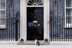 Larry, the Downing Street cat, sits outside the British Prime Minister's official residence at 10 Downing Street in London, Britain, 11 May 2026. (EPA) 