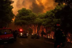 Greek firefighters try to extinguish a wildfire in the area of Porto Germeno, some 70 kilometers (45 miles) northwest of Athens in the region of Viotia, on August 1, 2026. (AFP)