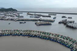  In this aerial photo released by Xinhua News Agency, fishing boats take shelter ahead of Typhoon Dolphin at a port in Wenling, east China's Zhejiang Province, Aug. 5, 2026. (Zhou Xuejun/Xinhua via AP) 