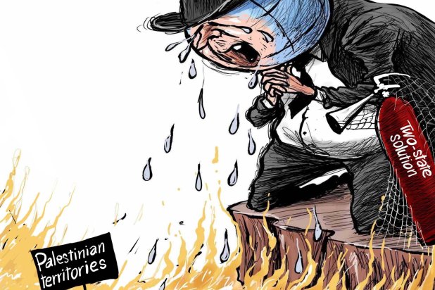 Cartoon