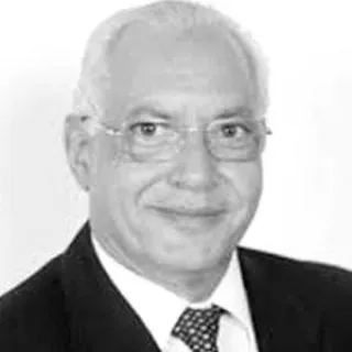 د. علي الدين هلال