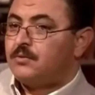 هشام عبد العزيز
