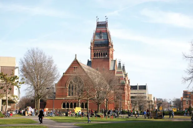 الخبر مفجع والمذيعة جميلة