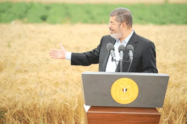 الرئيس المصري: إنتاج القمح محليا سيصل إلى 9.5 مليون طن هذا العام
