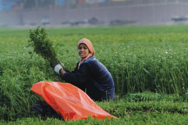 مصر تضع جدولا لسداد مستحقات شركات النفط وتستبعد فرض حظر اقتصادي عليها