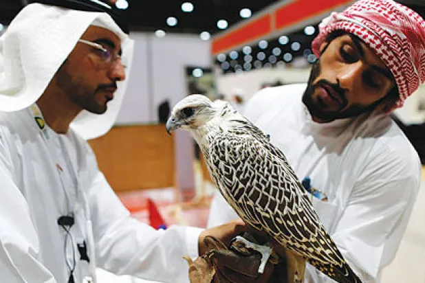 المعرض الدولي للصيد والفروسية في أبوظبي يجمع بين التراث والتكنولوجيا