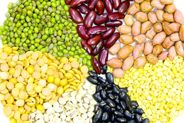 البروتين النباتي.. غذاء صحي مهم