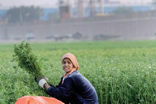 مصر توقع تسع اتفاقيات جديدة مع شركات  عالمية ومحلية للتنقيب عن البترول والغاز