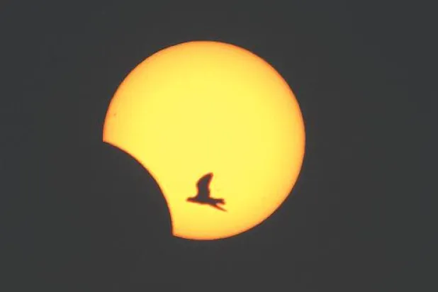 كسوف الشمس كما شوهد في مدينة صيدا جنوب لبنان (رويترز)