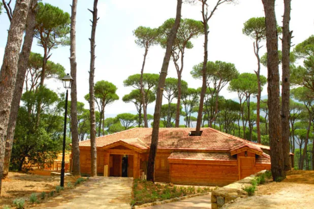 بيت الغابة من الخارج وسط أحراج الصنوبر