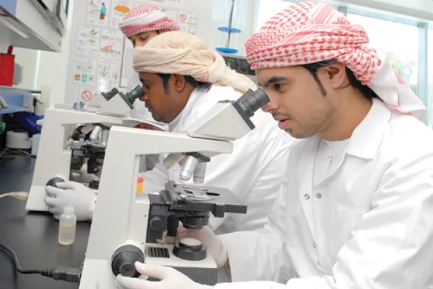 الإمارات العربية المتحدة تولي اهتماما متزايدا بالتعليم المهني