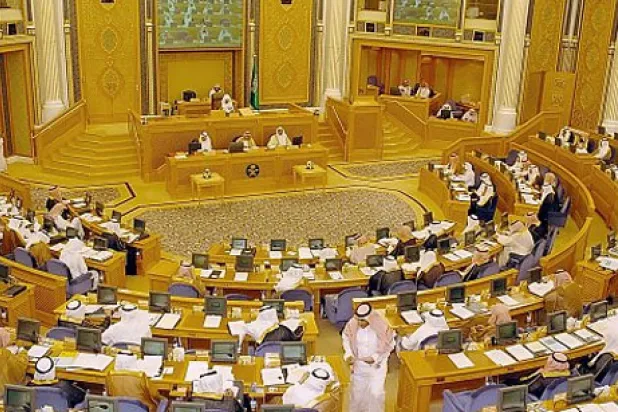 «الوثيقة السكانية» تحت مجهر الشورى مجددا