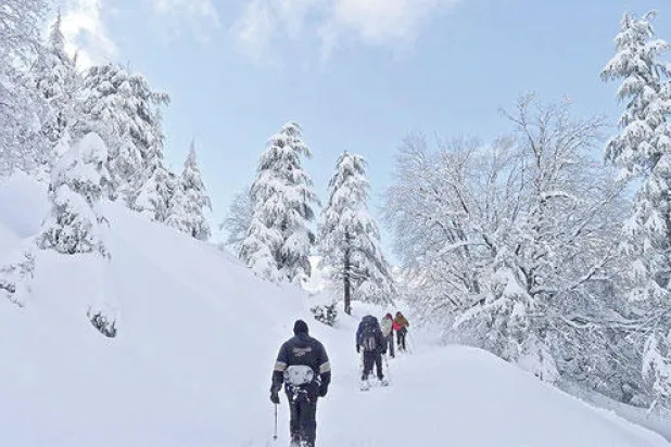 «محمية حرش إهدن».. لوحة فنية تبهر الناظرين