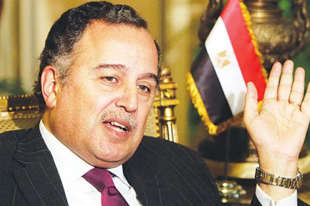 وزير خارجية مصر: سننجح في استكمال خريطة الطريق وخلق منظومة سياسية أيا كان الثمن