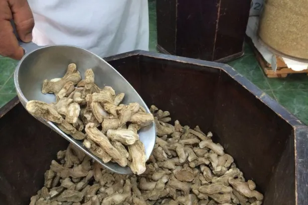 الزنجبيل.. نبتة تدفئ شتاء السعوديين