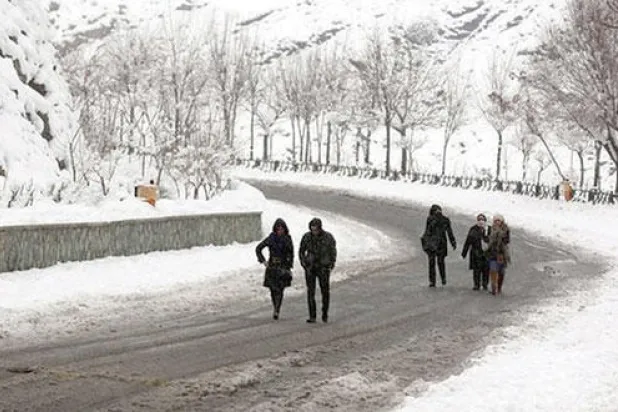 موجة برد تجتاح إيران وتكبد الزراعة خسائر فادحة