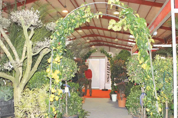 المعرض هدفه العمل على الحفاظ على البيئة 