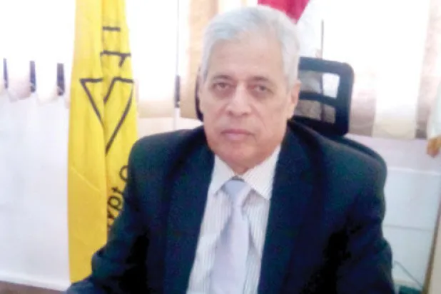 «غاز مصر»: خطتنا إيصال الخدمة لمليون وحدة سكنية سنويا.. والأسعار لا تزال متدنية