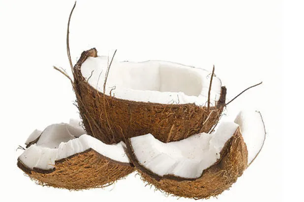 جوز الهند.. ما هي حقيقة الادعاءات حول فوائده الصحية؟