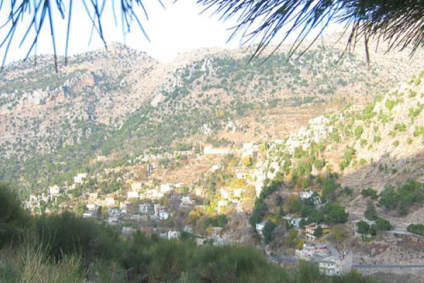 جانب من محمية أرز تنورين الطبيعية 