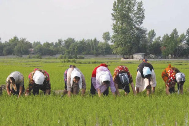 أهالي تالش.. من الأقوام التي تركت تأثيرا في تاريخ إيران