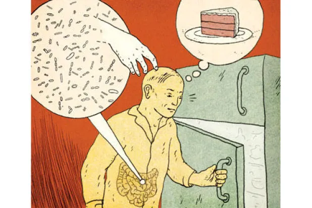 بكتيريا الجسم.. تسيطر على سلوك الإنسان وطعامه